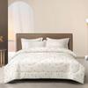 Xifuni Warm Brushed Microfiber Quilt