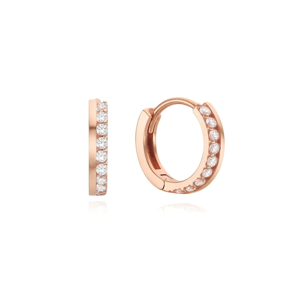 [Rosemont] Silver Earrings Rc0379