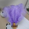 White Ostrich Feathers 15-80cm for Lighting, Wedding Aisle Decor, Photo Props, and Vase Ornaments