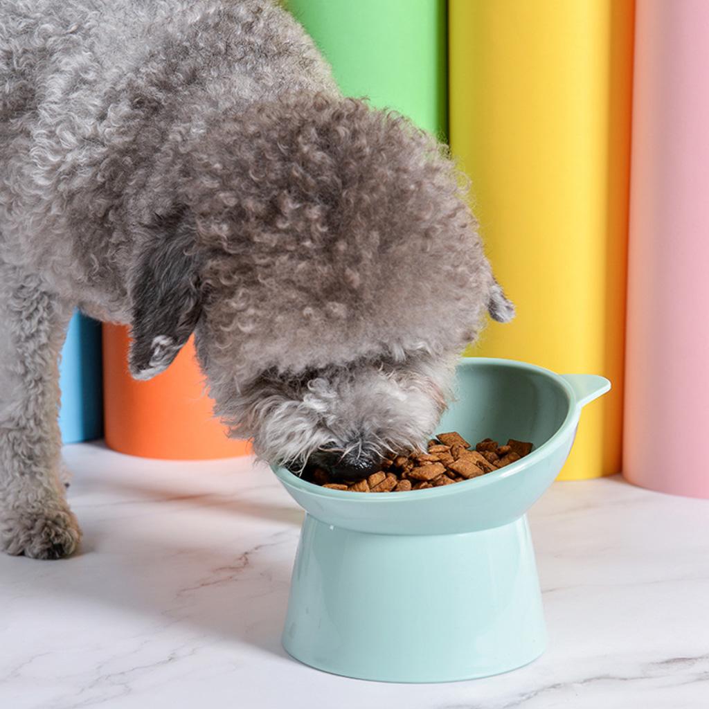 Raised Cats Bowls Small Dog 45° Tilted Dish with Stand Feeders for Dog Cats