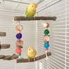 Vogel Sitzstange Natur Molar Ständer für Papageien Conure Supplies Wellensittiche Schleifkratzer für kleine mittelgroße Papageien Spielzeug