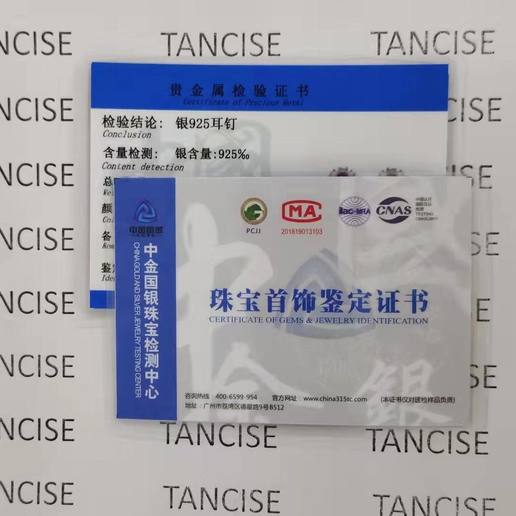 Tancise 925 Sterling Silver Moissanite   Earrings Drop Earrings For Women Wedding Party Gifts