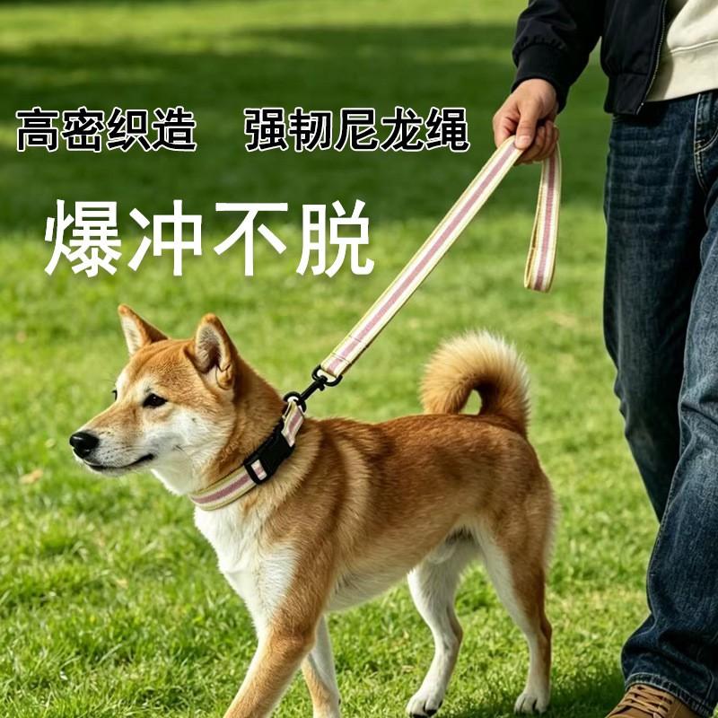 Thick Anti-pull Dog Collar Leash Set Striped Cats Small Medium Dogs