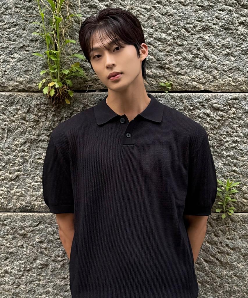 MINDBRIDGE Texture Modified Collar Short Sleeve Knit - 3 Colors