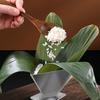 Hot Traditional Chinese Food Dragon Boat Festival Zongzi Mold Sticky Rice Dumplings Maker Making Tools Mould Kitchen Accessory