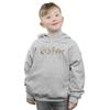 Harry Potter Boys Full Colour Logo Hoodie