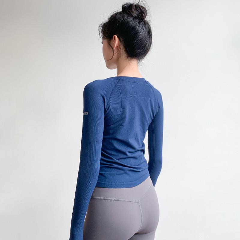 Women's Autumn/Winter Round Neck High Elastic Slimming Long Sleeve Quick-Dry Yoga and Fitness Top