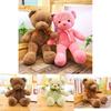 Soft And Skin-friendly 11.8-21.6 In Colored Teddy Bear Plush Perfect Gift For Kids And Home Decor