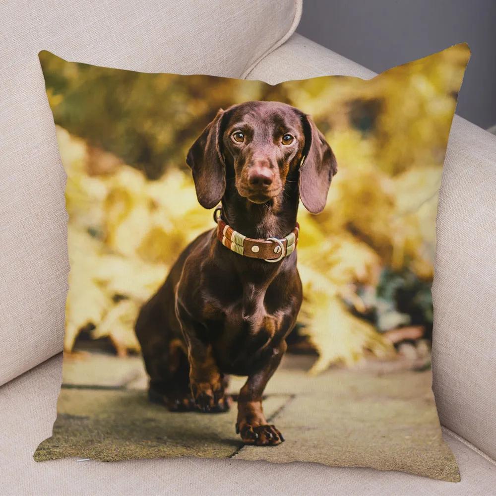 Mini Dackel Hund Kissenbezug Dekor Haustier Tier Kissenbezüge Superweicher Plüsch Kissenbezug für Sofa Zuhause Kinderzimmer 45x45cm