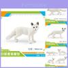 Realistic Polar Fox Model Set Four Variants Of Arctic Fox Figurines For Display And Collecting