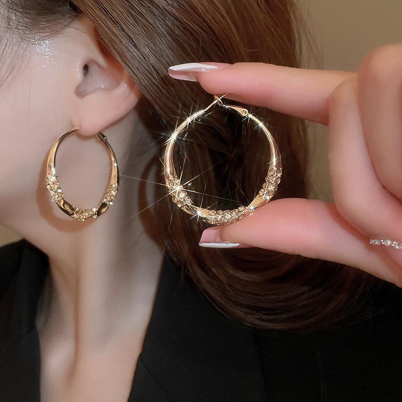 Crushed Silver Zircon Gold Circle Earrings Earrings European and American Earrings Design Sense Niche