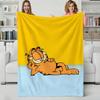 Cartoon Chubby Cute Cat Throw Flannel Blanket Perfect for Sofa Office Bed Travel Sleep Read Relax Camping Four Season Use