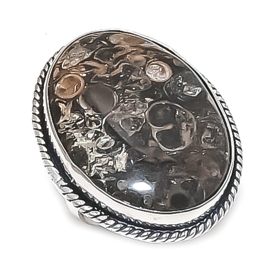 Natural Turritella Fossil Gemstone 925 Sterling Silver Jewelry Ring Size 8 D7z04