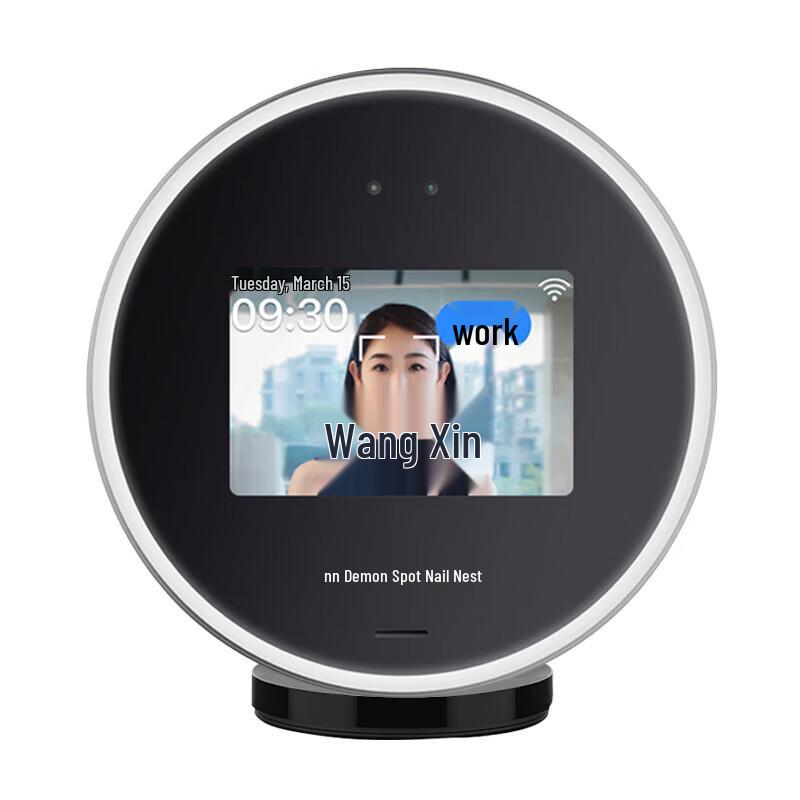 DingTalk W3X Pro Facial Recognition Time Clock CN plug (adapter included)