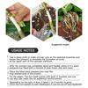 Garden Plant Rooting Device Air Layering Propagation Ball Reusable Root Growing Box with Secure Lock Clear Plant Grafting Ball