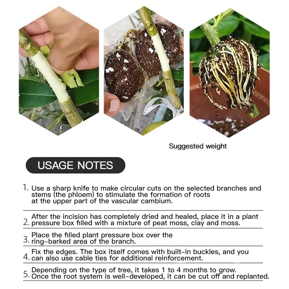 Garden Plant Rooting Device Air Layering Propagation Ball Reusable Root Growing Box with Secure Lock Clear Plant Grafting Ball