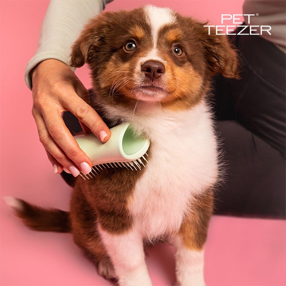 

[Petizer] Puppy Brush
