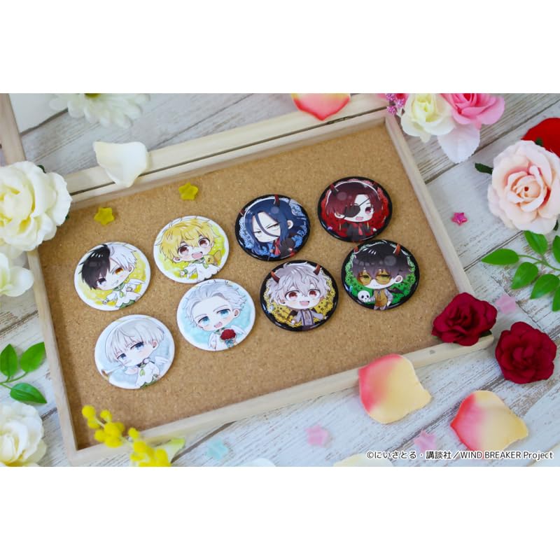 WIND BREAKER Petit Choco Trading Badges Angel and Devil Ver. 8-piece Box