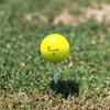 Trust Trust Golf Ball Aurora Does Not Stands Does Not Crystal Urethane Reactive Core 1 Dozen Aurora Yellow (Aurora) Cover, Out, Flies, Bend, Stops,