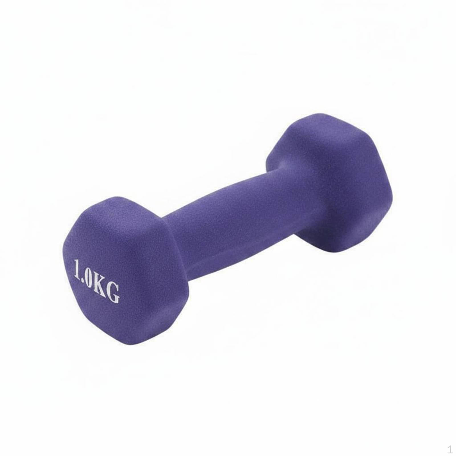 Cast Iron Dumbbell Floor Friendly Hex Hand Weight for Beginners, Women, Home Workout, Gym