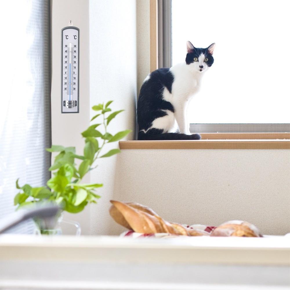 Universal Analog Thermometer Outdoor Indoor Room Wall Mounted