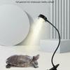 Reptile – Terarii pentru reptile