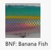 FCL Labo TBO 155 Floating Lure 155mm 46 Grams BNF (4793)