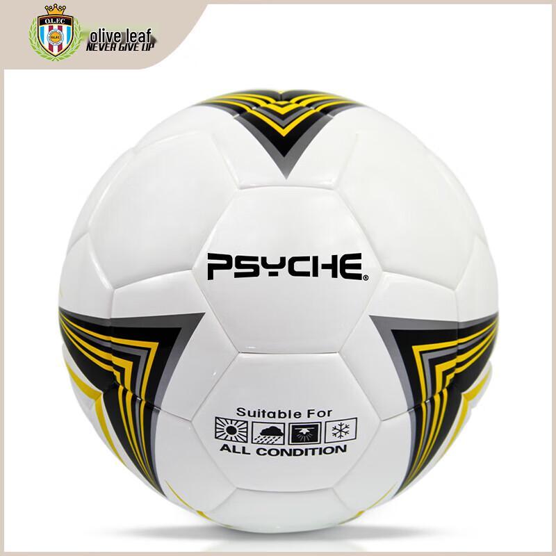 PSYCHE Size 5 Training Soccer Ball