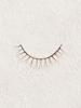 Daiso Daily Natural Look False Eyelashes #PureCharm