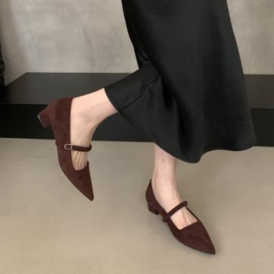 Temperament Pointed Buckle Black Fashion Shoes Autumn New with Skirt Heels Women's Thick Heel Mary Jane Shoes
