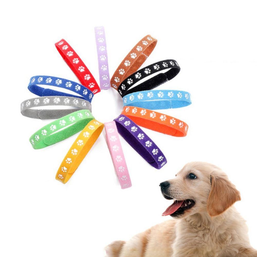 

Pet Accessories Kitten Classification Collar Pets Identify Collars Dog Necklace Puppy Birth Marker S