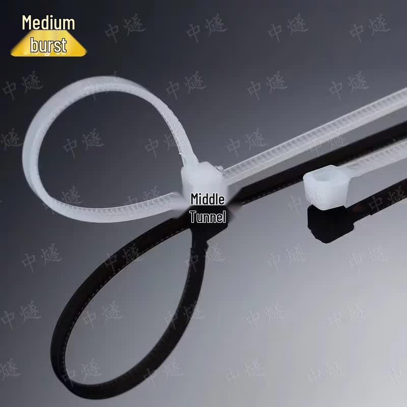 Self-locking Nylon Cable Ties
