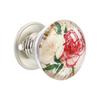 Vintage Round Cabinet Knobs Resin Crystal Drawer Cabinet Knobs Transparent Animal Epoxy Pull Handles for Wardrobe Dresser