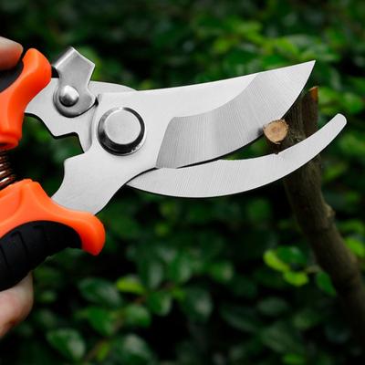 Nożyce Ogrodnicze Dziób Ptaka Ostre Profesjonalne do Przycinania Gałęzi Oszczędzające Pracę Stal Nierdzewna Wielofunkcyjne do Zbierania Owoców