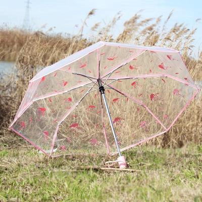 Accessoires – Regenschirme