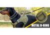 Tactical Anti-Pull Dog Harness & Leash for Medium to Large Breeds - Ideal for Border Collies & Golden Retrievers