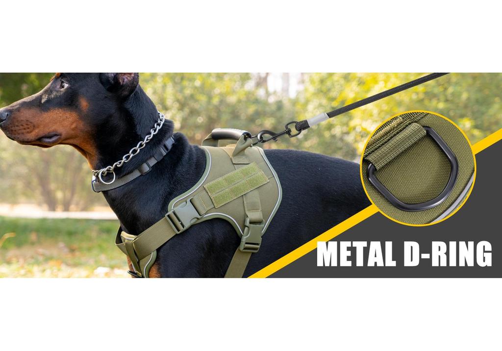 Tactical Anti-Pull Dog Harness & Leash for Medium to Large Breeds - Ideal for Border Collies & Golden Retrievers