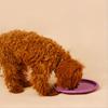 Pet Dog Frisbee Silicone Flying Disc Toy For Large Dog Outdoor Playing Training
