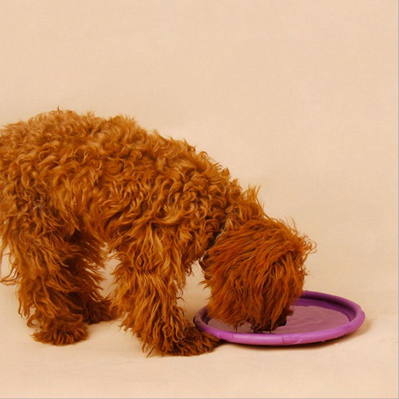 Pet Dog Frisbee Silicone Flying Disc Toy For Large Dog Outdoor Playing Training