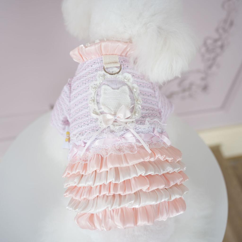 Pet Sweater Jacket Multi-layer Skirt Warm and Cold Proof Winter Clothing Can Be Pulled with Two Legs Clothes Puppy Clothes