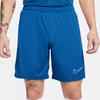 Nike Dri-Fit Academy Shorts polyester Blue