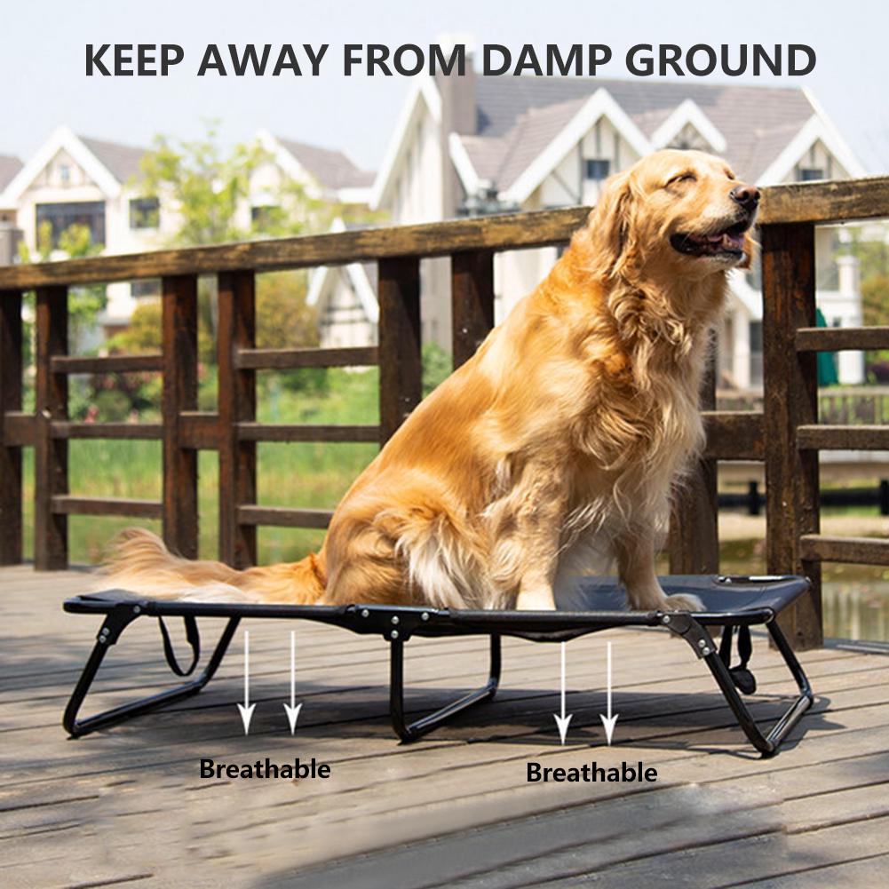 collapsible raised dog bed