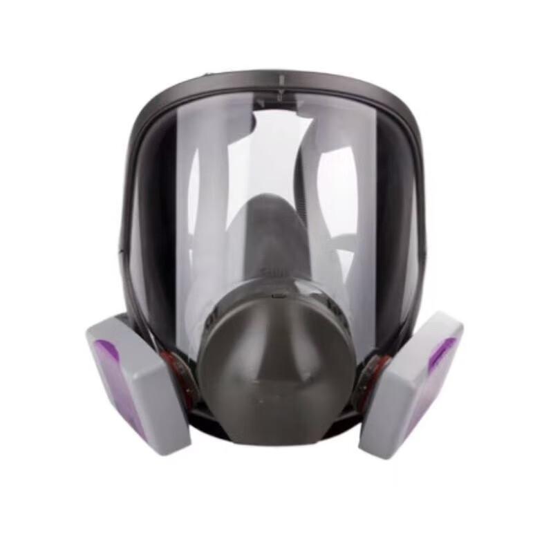 Brangdy 6800 Full Face Respirator Mask