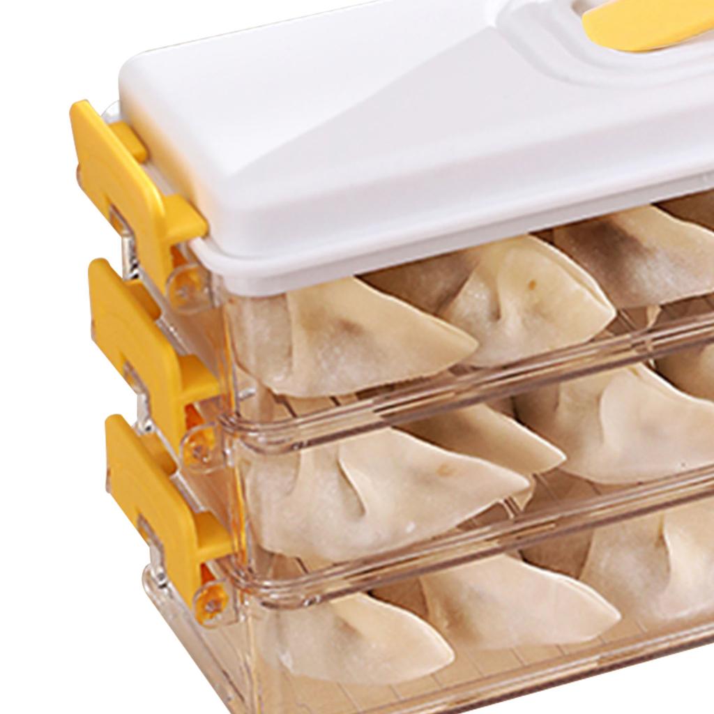Dumpling Storage Container Food Grade Plastic Refrigerator Dumpling Storage Box for Home