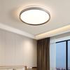 Modern Decorative LED Ceiling Lamp
