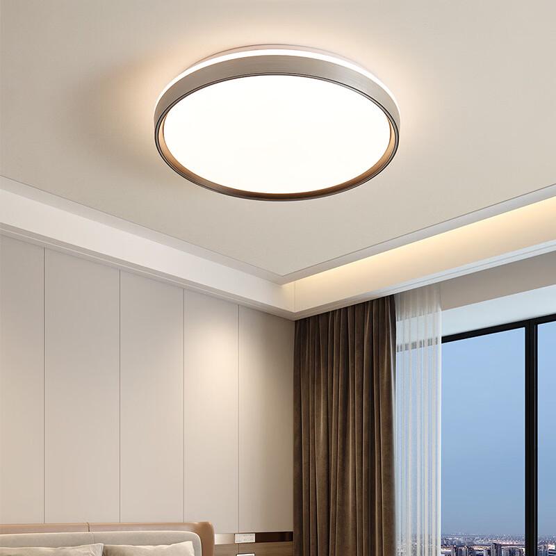 Modern Decorative LED Ceiling Lamp