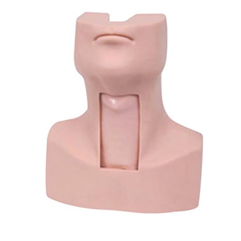 Weize Medical Airway Management Training Manikin