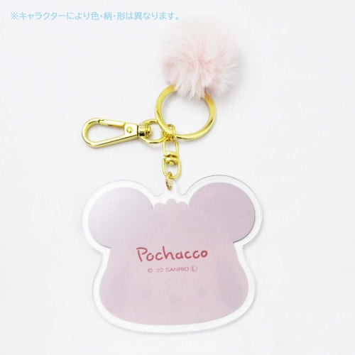 Skater Acrylic Keychain Samech ZACK1-A