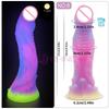 Anal Dildo Luminous Sex Toys for Women Dick Animal/Monsters Horse Dildos Silicone Soft Anal Plug Adult Sextoys Dragon Penis 18+