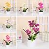 Multicolor Simulation Bonsai Accessories Faux Phalaenopsis Potted  Home Office Decoration